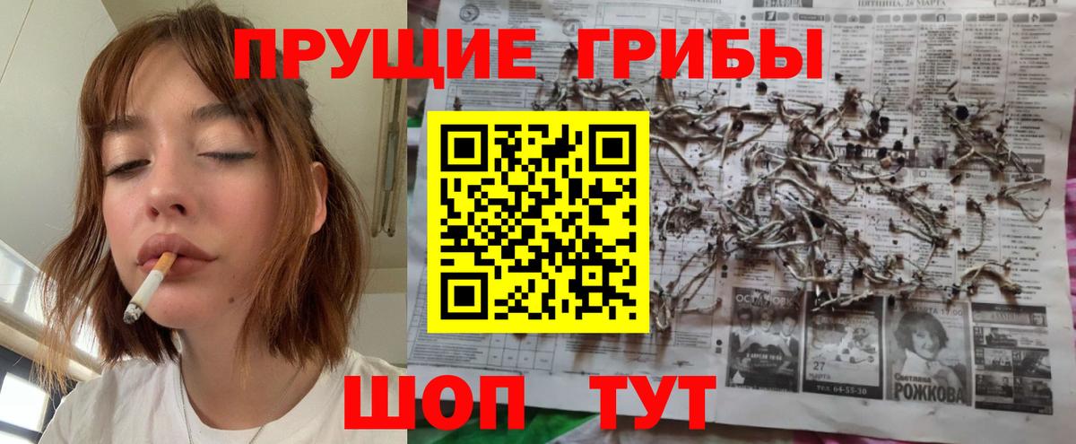 Галлюциногенные грибы GOLDEN TEACHER Троицк
