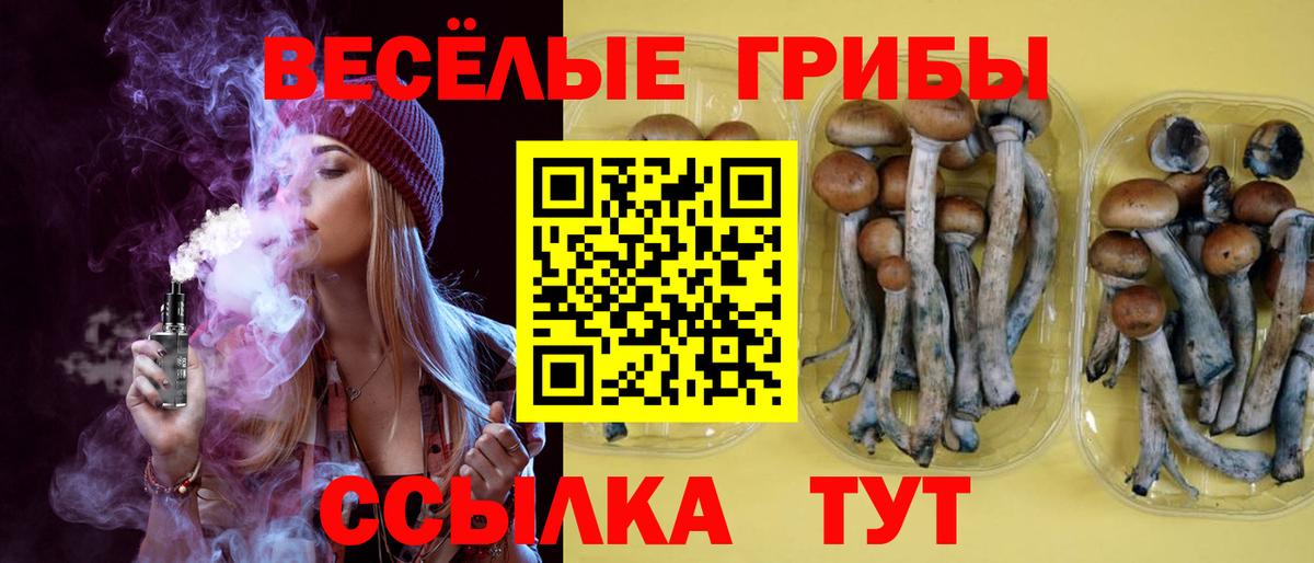 Псилоцибиновые грибы MAGIC MUSHROOMS  Вход с VPN  Троицк 
